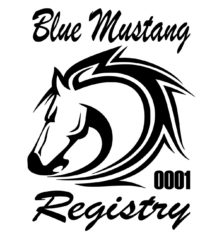 BMR Horsehead Decal - Image 2