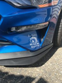 BMR Horsehead Decal - Image 7