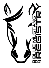 BMR Horsehead Decal