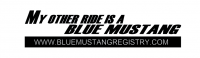 My Other Ride Is...