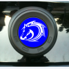 S197 Trunk Emblem Cover 2