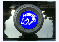 S197 Trunk Emblem Cover 2